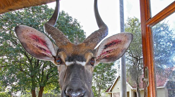Fish Eagle Guest Farm