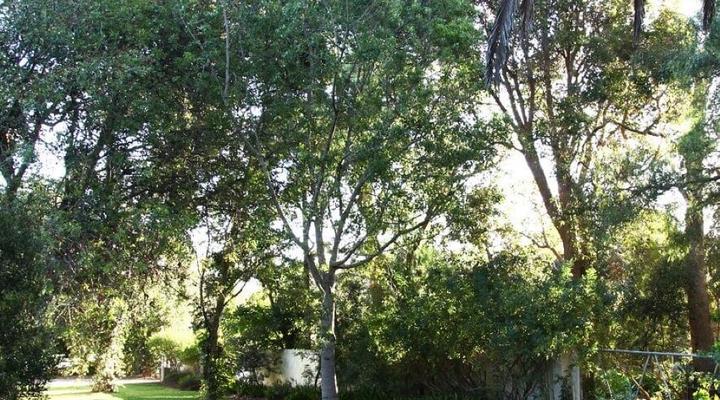 The Ark Holiday Home