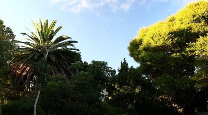 The Ark Holiday Home