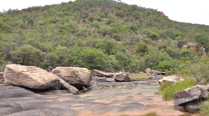 Gangeni Safari Bush Lodge