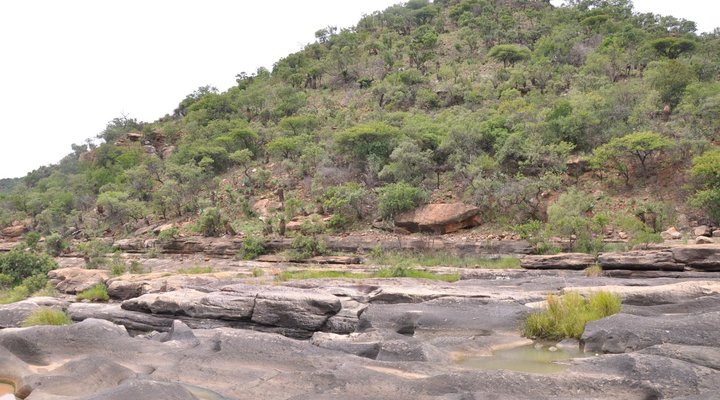 Gangeni Safari Bush Lodge