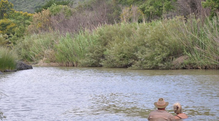 Gangeni Safari Bush Lodge