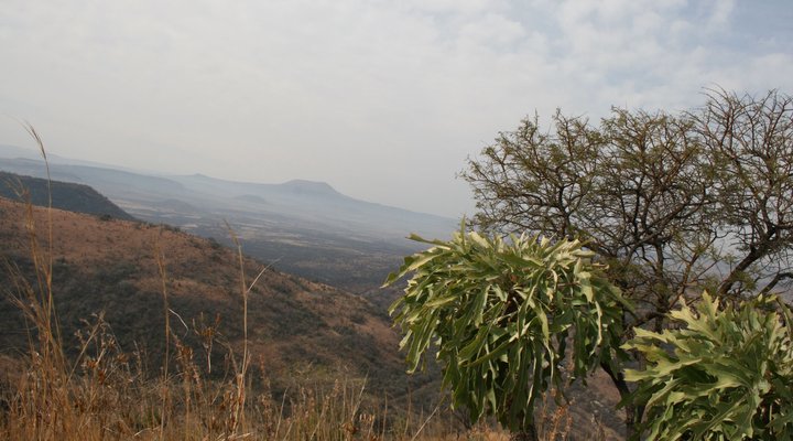 Gangeni Safari Bush Lodge