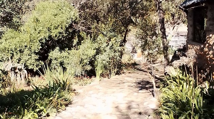 Gangeni Safari Bush Lodge