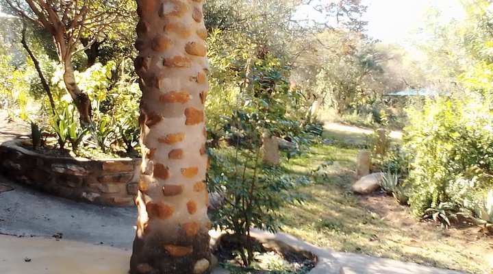 Gangeni Safari Bush Lodge