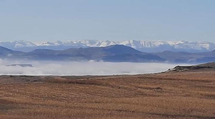 Willowdene Guest Farm