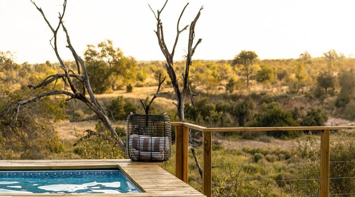 Simbavati Mvubu Cottage