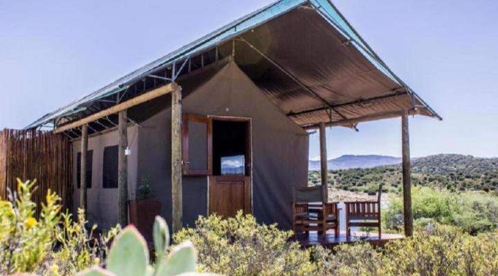 Buffelsdrift Game Lodge
