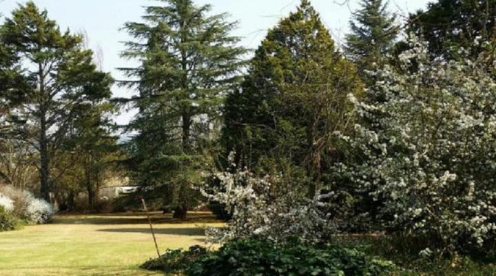 Wild Berry Guest Farm