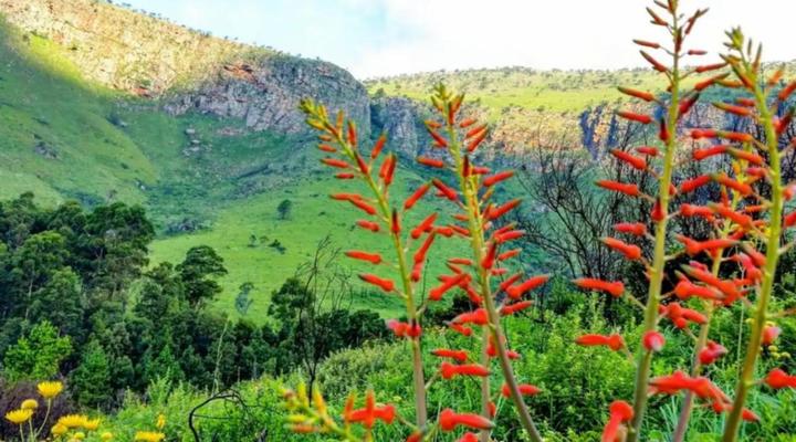 Rondebossie Farm Retreat