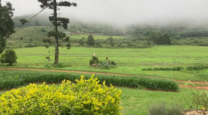 Rondebossie Farm Retreat