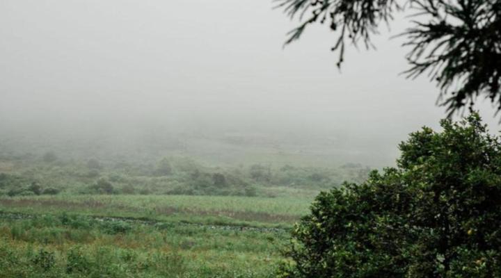 Rondebossie Farm Retreat