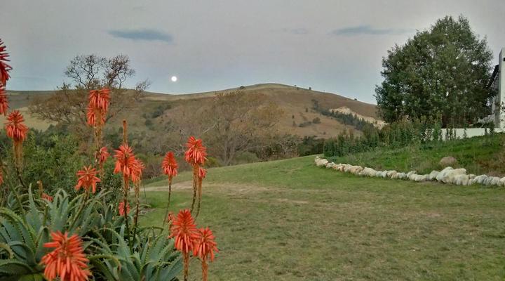 Wolfkloof Boerdery