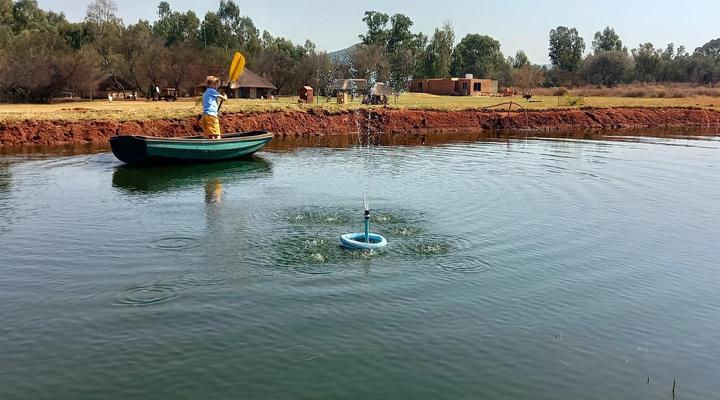 Fly Fishing Paradise on the Vaalriver