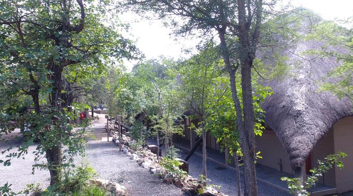 Balule Bushveld Safari Lodge