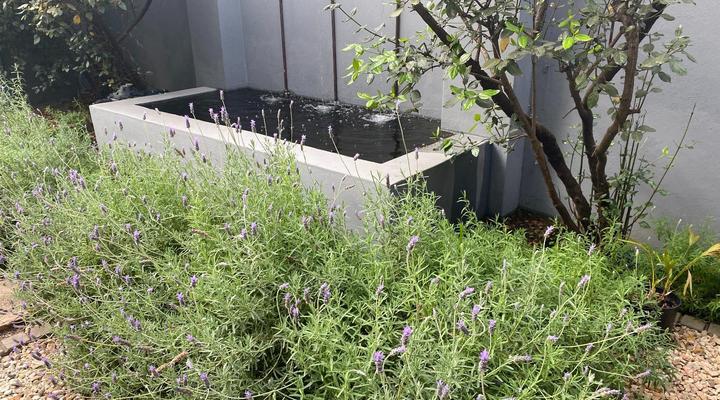 46 on Allcock Street