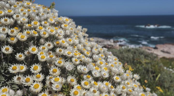 Oak on Main by Top Destinations Rentals