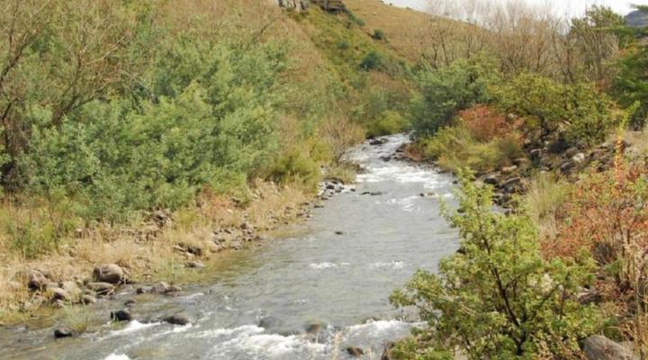 Mkomazana Mountain Cottages