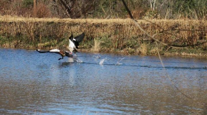 Mkomazana Mountain Cottages