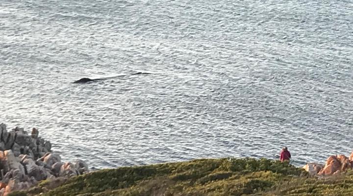 Calamari Self-Catering