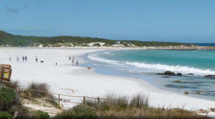 Mussel Beach Holiday Lets