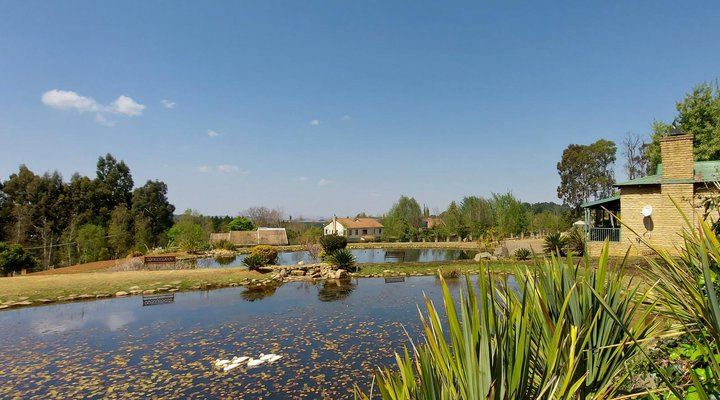 Connemara Close - Director's Unit