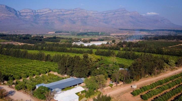 Francines Venue & Farmhouse