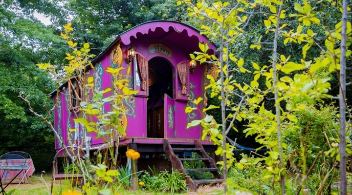 Gypsy Wagons Clarens 