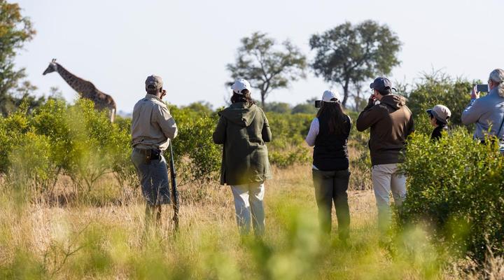Inyati Game Lodge, Sabi Sand Nature Reserve