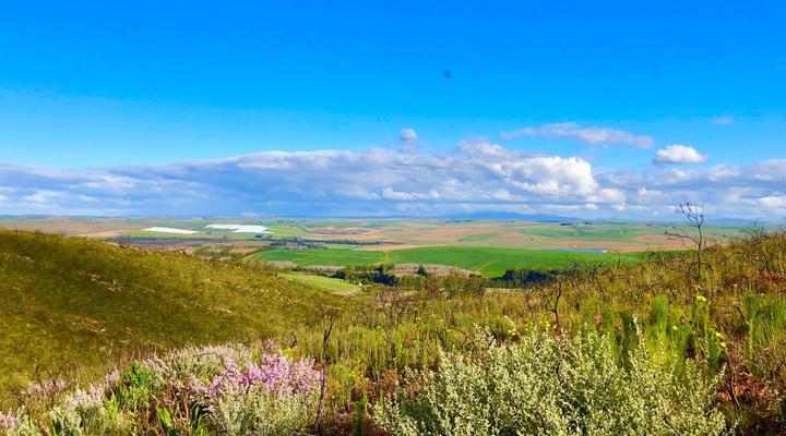 Kromrivier Farm Accommodation