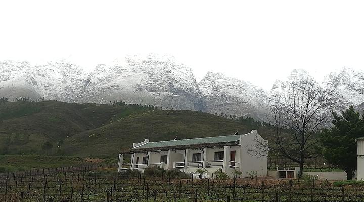 Vredehoek Guestfarm