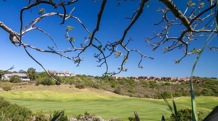 Franzi's Dream - CM15