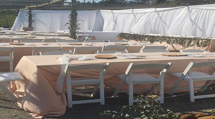 Clydesdale on Lions River