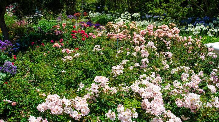 Greenhill Farm Manor House