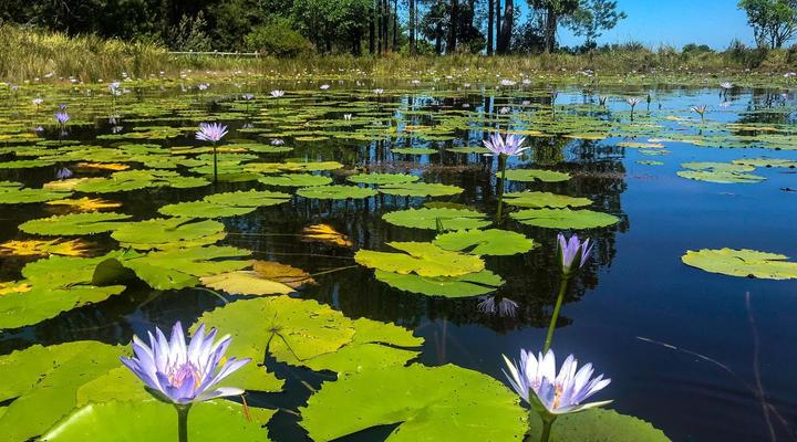 Greenhill Farm Manor House