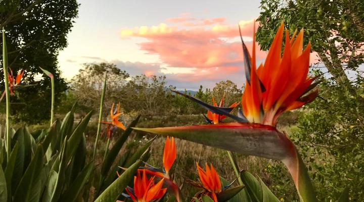 Greenhill Farm Manor House