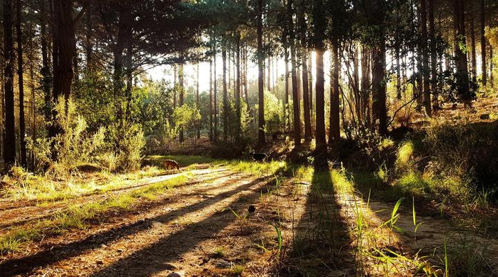 Greenhill Farm Manor House