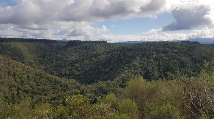 Greenhill Farm Manor House