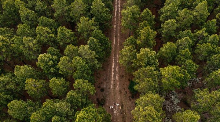 Greenhill Farm Manor House