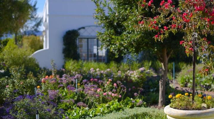 Greenhill Farm Cape Dutch Cottage