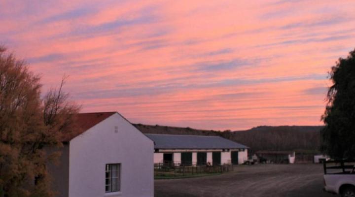 Ganora Guest Farm and Excursions