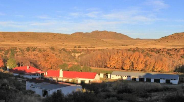 Ganora Guest Farm and Excursions