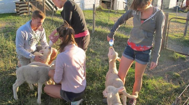 Ganora Guest Farm and Excursions