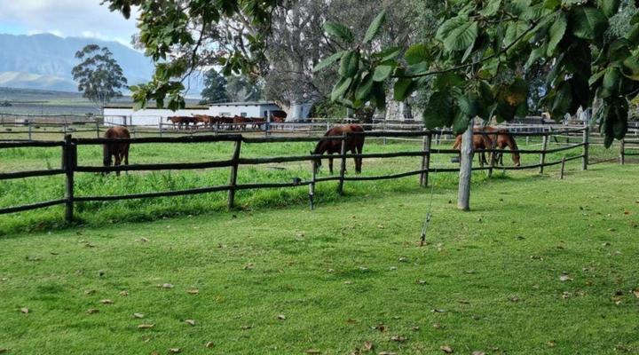 Barry House on Riverton