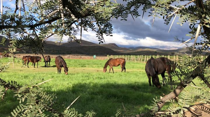 Barry House on Riverton