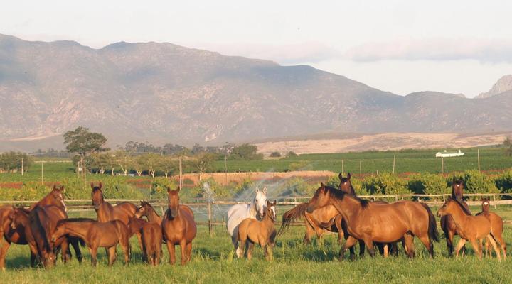 Barry House on Riverton