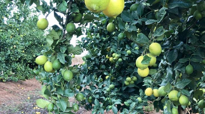 Barry House on Riverton