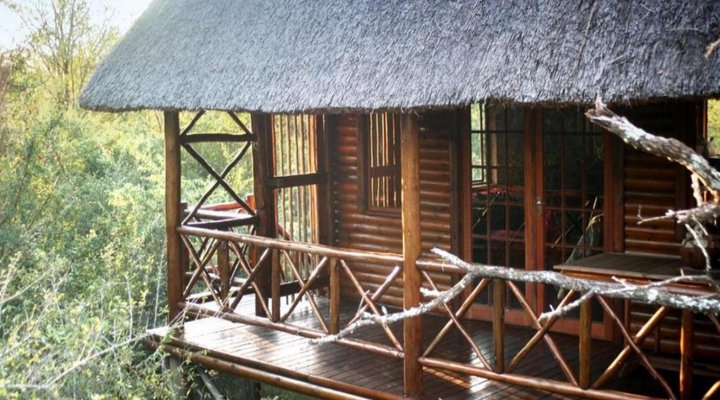 Lion Tree Bush Lodge
