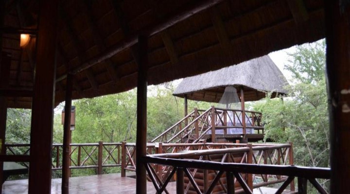Lion Tree Bush Lodge