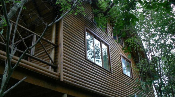 Lion Tree Bush Lodge